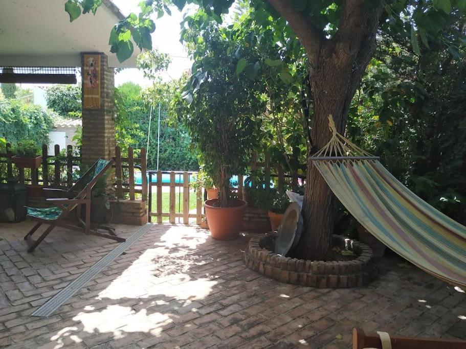 Dormir Entre Limones, Casa De Invitados En Vivienda Familiar Dos Hermanas Zewnętrze zdjęcie